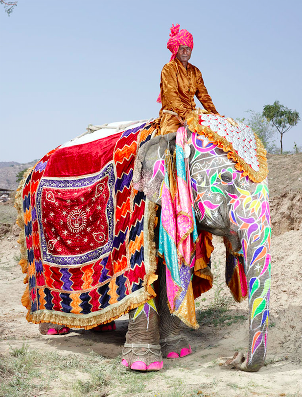 Jaipur’s Painted Elephants