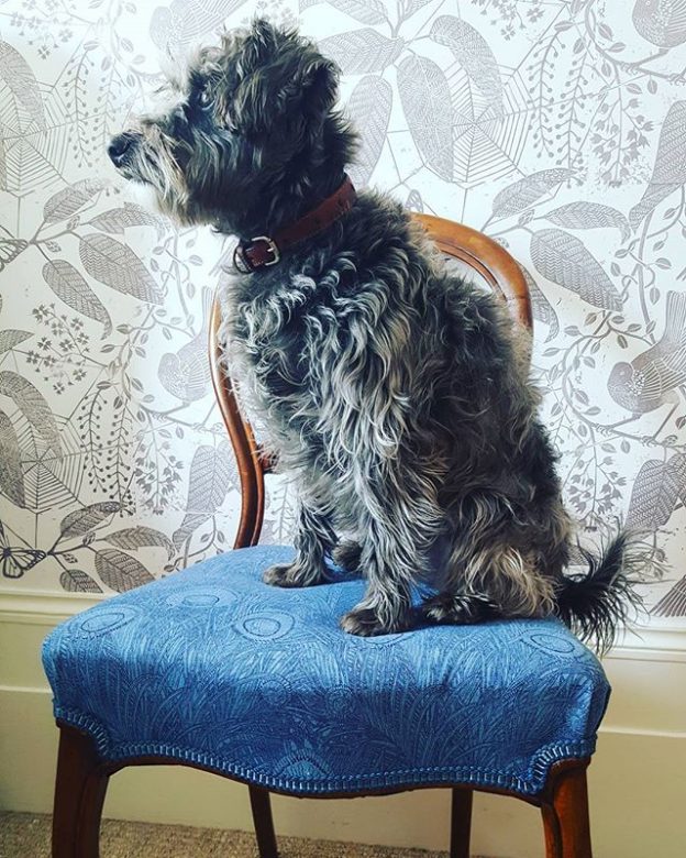 Marthe Armitage Wallpaper and Fabrics