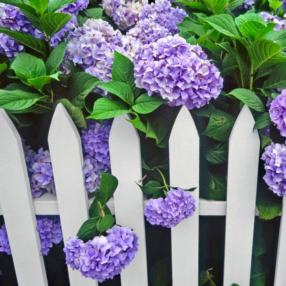 The Best Memorial Day Sales