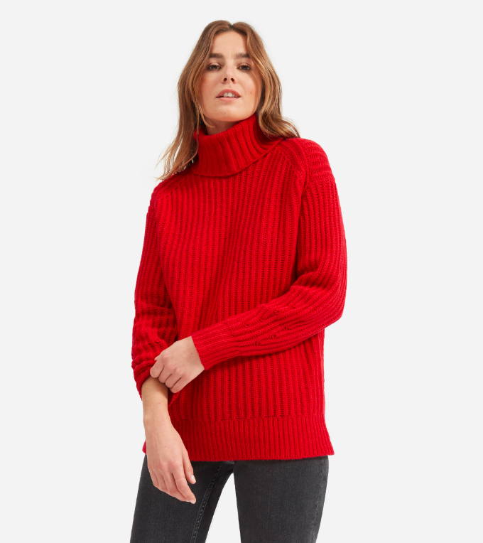 red-everlane-soft-wool-rib-turtleneck-sweater-womens
